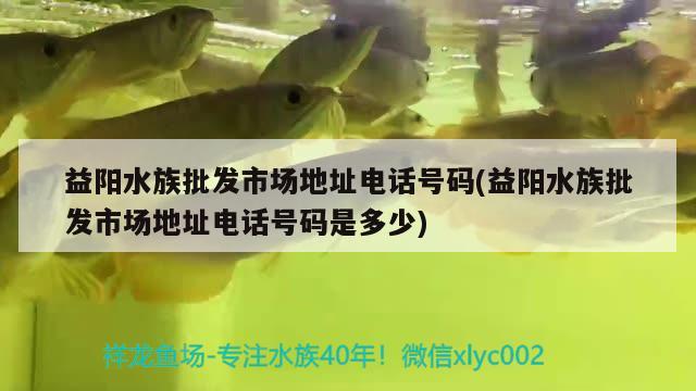 益阳水族批发市场地址电话号码(益阳水族批发市场地址电话号码是多少) 观赏鱼水族批发市场