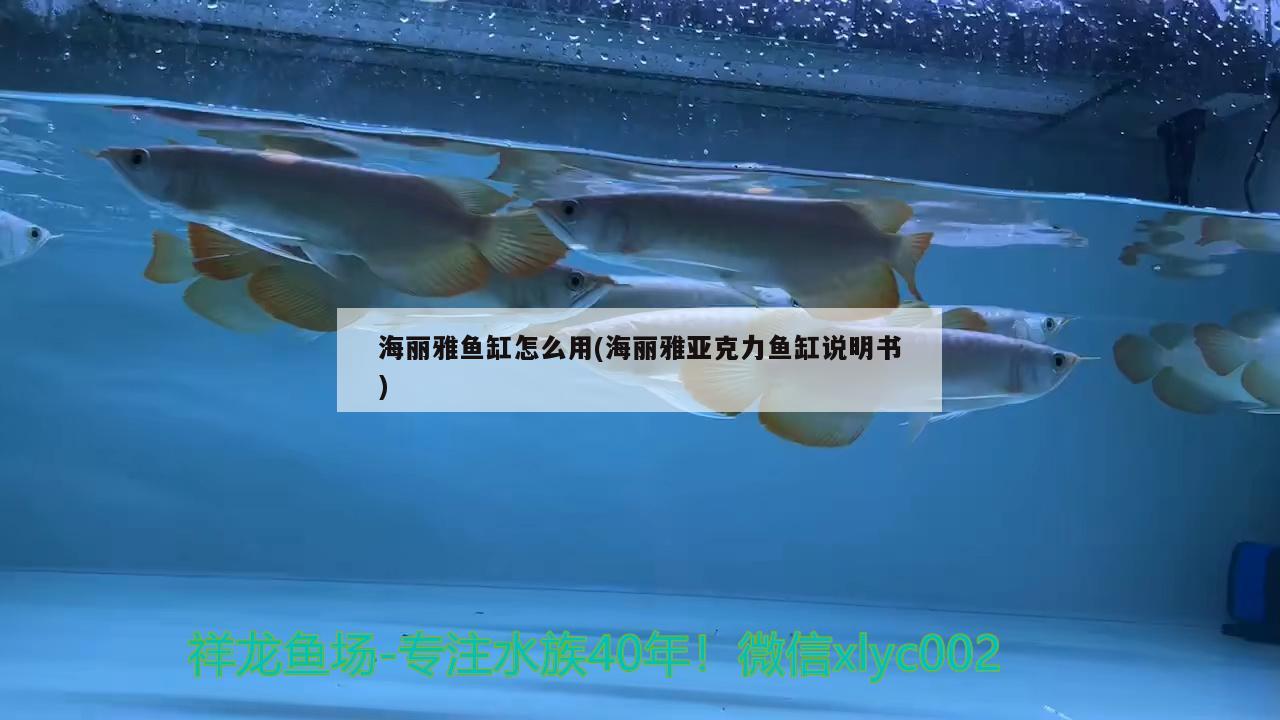 海丽雅鱼缸怎么用(海丽雅亚克力鱼缸说明书)