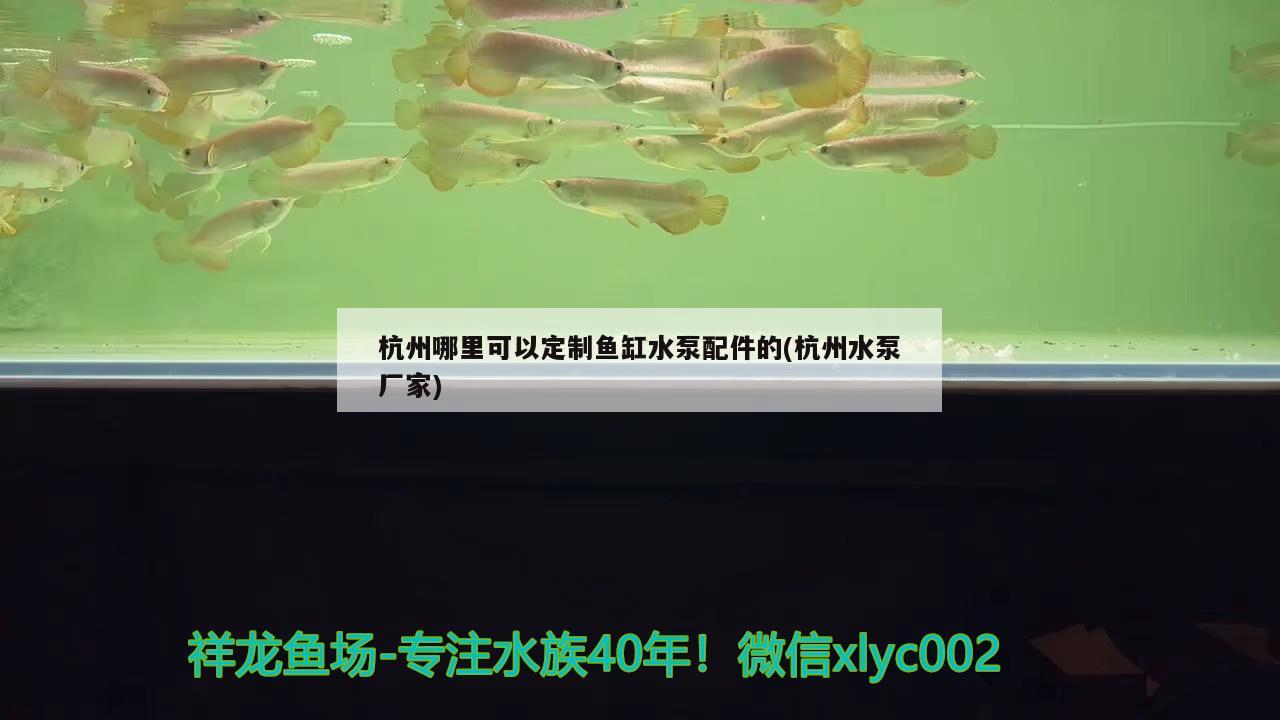杭州哪里可以定制鱼缸水泵配件的(杭州水泵厂家) 鱼缸水泵