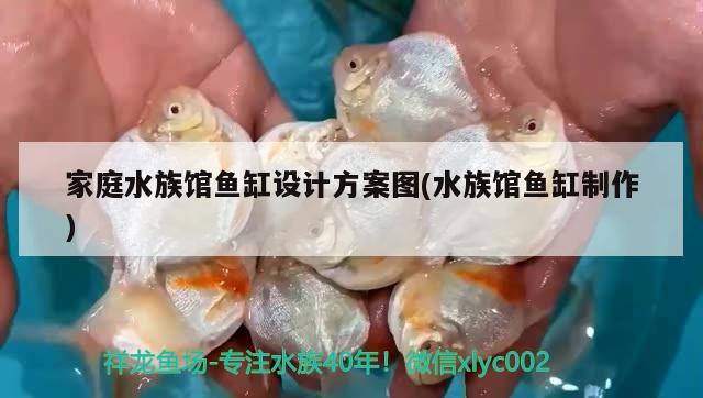 家庭水族馆鱼缸设计方案图(水族馆鱼缸制作) 帝王迷宫