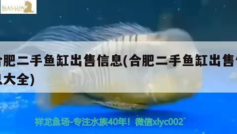 合肥二手鱼缸出售信息(合肥二手鱼缸出售信息大全) 鱼缸清洁用具