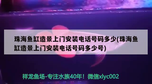 珠海鱼缸造景上门安装电话号码多少(珠海鱼缸造景上门安装电话号码多少号)