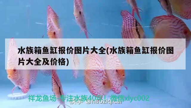 水族箱鱼缸报价图片大全(水族箱鱼缸报价图片大全及价格) 鱼缸/水族箱