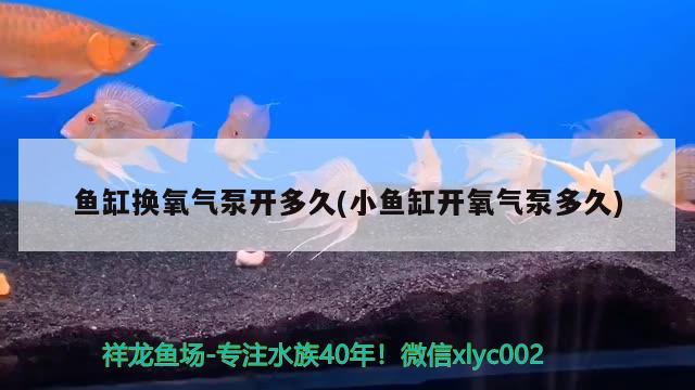 鱼缸换氧气泵开多久(小鱼缸开氧气泵多久) 冲氧泵