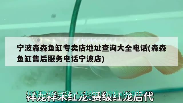 宁波森森鱼缸专卖店地址查询大全电话(森森鱼缸售后服务电话宁波店) 广州水族器材滤材批发市场