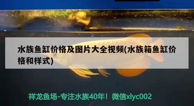 水族鱼缸价格及图片大全视频(水族箱鱼缸价格和样式) 鱼缸/水族箱