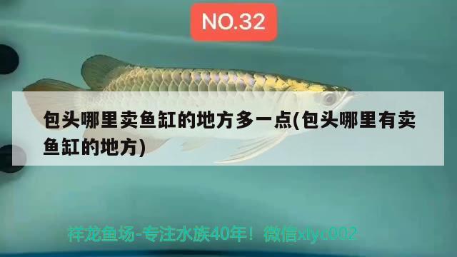 包头哪里卖鱼缸的地方多一点(包头哪里有卖鱼缸的地方) 圣菲埃及鱼