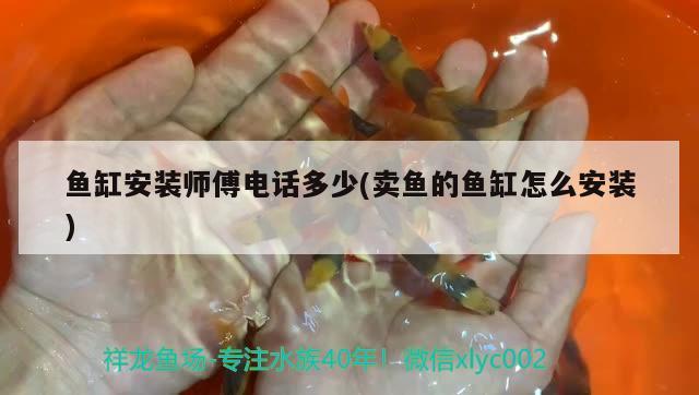 鱼缸安装师傅电话多少(卖鱼的鱼缸怎么安装)