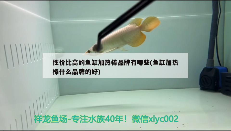 性价比高的鱼缸加热棒品牌有哪些(鱼缸加热棒什么品牌的好) 潜水泵