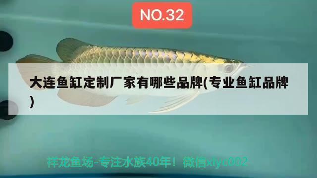 大连鱼缸定制厂家有哪些品牌(专业鱼缸品牌)