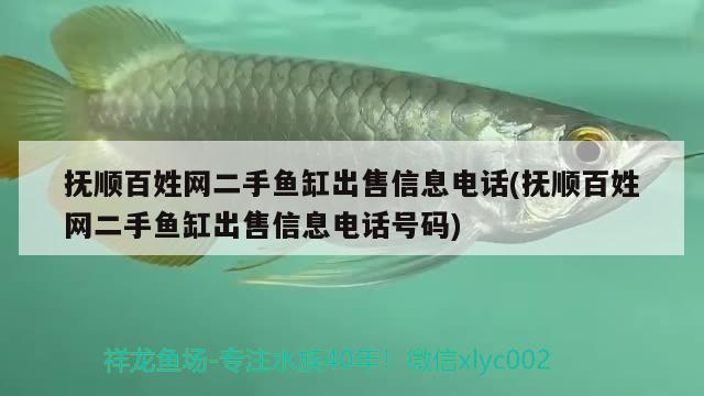 抚顺百姓网二手鱼缸出售信息电话(抚顺百姓网二手鱼缸出售信息电话号码)