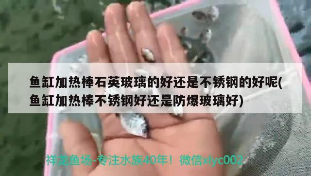 鱼缸加热棒石英玻璃的好还是不锈钢的好呢(鱼缸加热棒不锈钢好还是防爆玻璃好) 水温计