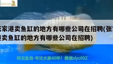 张家港卖鱼缸的地方有哪些公司在招聘(张家港卖鱼缸的地方有哪些公司在招聘) 祥龙鱼场其他产品