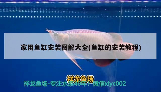 家用鱼缸安装图解大全(鱼缸的安装教程) 广州水族批发市场 第2张