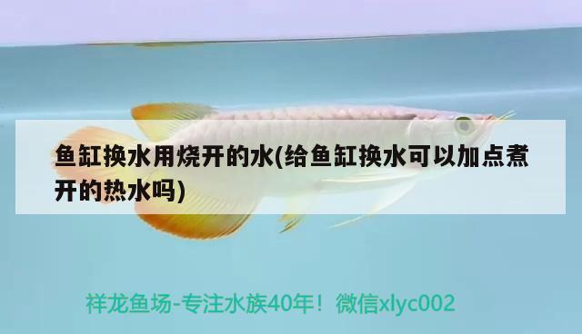 鱼缸换水用烧开的水(给鱼缸换水可以加点煮开的热水吗) 广州观赏鱼批发市场