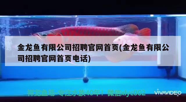 金龙鱼有限公司招聘官网首页(金龙鱼有限公司招聘官网首页电话)