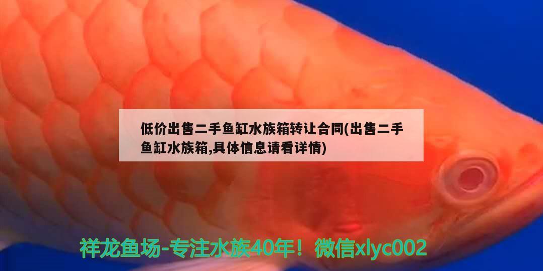 低价出售二手鱼缸水族箱转让合同(出售二手鱼缸水族箱,具体信息请看详情) 鱼缸/水族箱