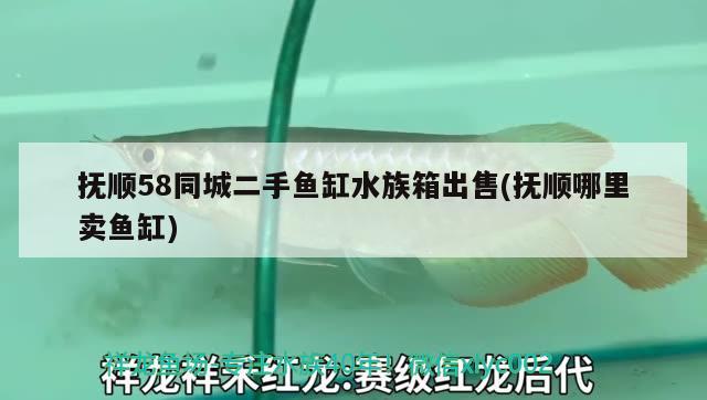 抚顺58同城二手鱼缸水族箱出售(抚顺哪里卖鱼缸)