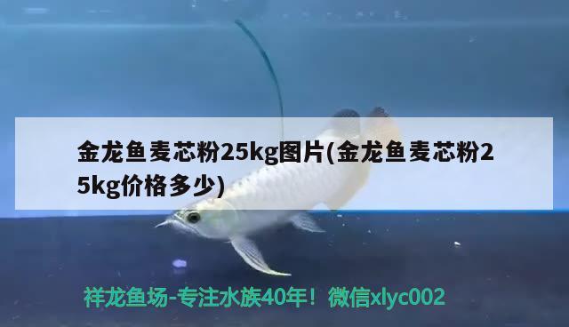 金龙鱼麦芯粉25kg图片(金龙鱼麦芯粉25kg价格多少)