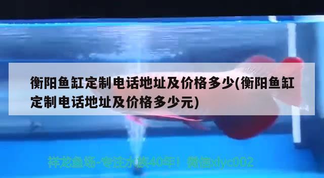 衡阳鱼缸定制电话地址及价格多少(衡阳鱼缸定制电话地址及价格多少元) 龙鱼疾病与治疗