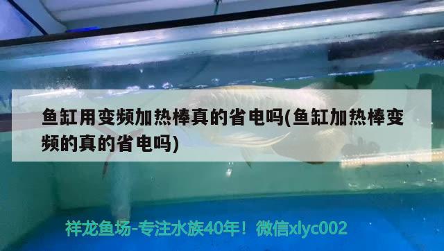 鱼缸用变频加热棒真的省电吗(鱼缸加热棒变频的真的省电吗) 鱼缸清洁用具