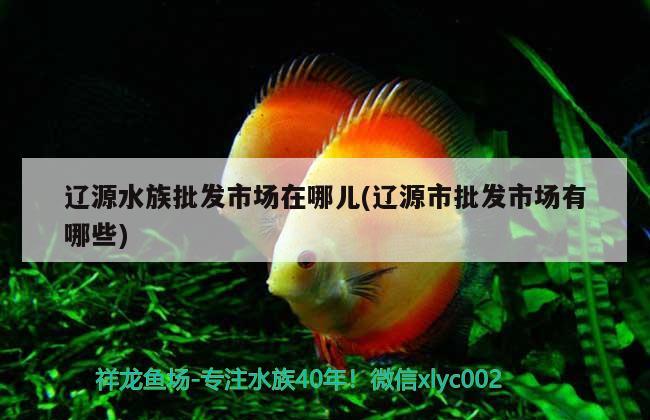 辽源水族批发市场在哪儿(辽源市批发市场有哪些) 观赏鱼水族批发市场