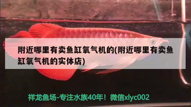 附近哪里有卖鱼缸氧气机的(附近哪里有卖鱼缸氧气机的实体店) 黄鳍鲳鱼