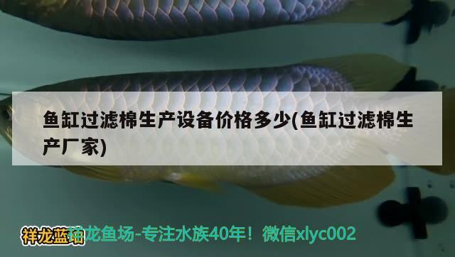 鱼缸过滤棉生产设备价格多少(鱼缸过滤棉生产厂家) 绿皮皇冠豹鱼