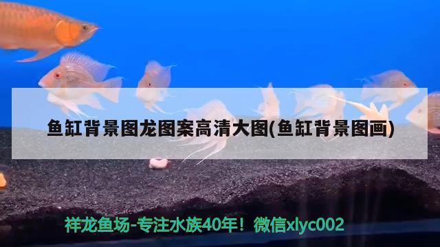 鱼缸背景图龙图案高清大图(鱼缸背景图画) iwish爱唯希品牌鱼缸 第2张