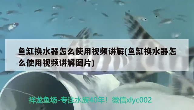 鱼缸换水器怎么使用视频讲解(鱼缸换水器怎么使用视频讲解图片) 热带鱼鱼苗批发