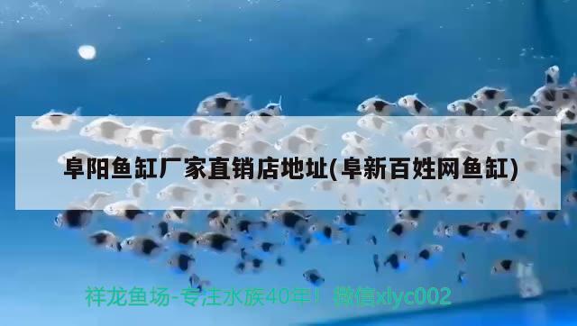 阜阳鱼缸厂家直销店地址(阜新百姓网鱼缸) 祥龙水族护理水