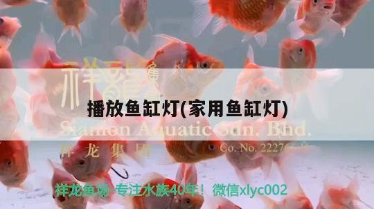 播放鱼缸灯(家用鱼缸灯) 绿皮辣椒小红龙 第2张