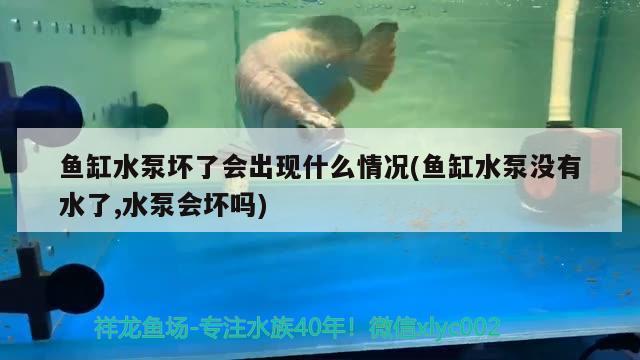 鱼缸水泵坏了会出现什么情况(鱼缸水泵没有水了,水泵会坏吗)