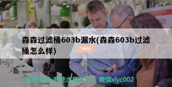 森森过滤桶603b漏水(森森603b过滤桶怎么样) 祥龙蓝珀金龙鱼