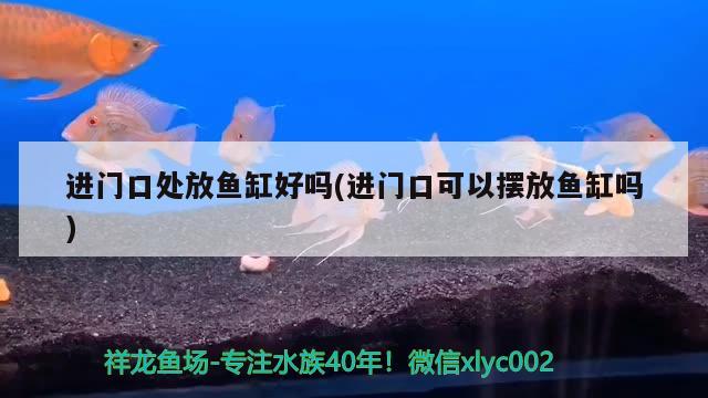 进门口处放鱼缸好吗(进门口可以摆放鱼缸吗) 帝王迷宫