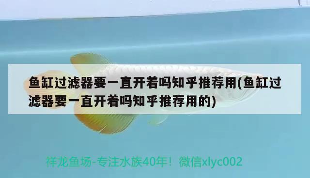 鱼缸过滤器要一直开着吗知乎推荐用(鱼缸过滤器要一直开着吗知乎推荐用的)