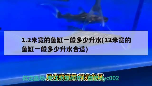 1.2米宽的鱼缸一般多少升水(12米宽的鱼缸一般多少升水合适) 金三间鱼