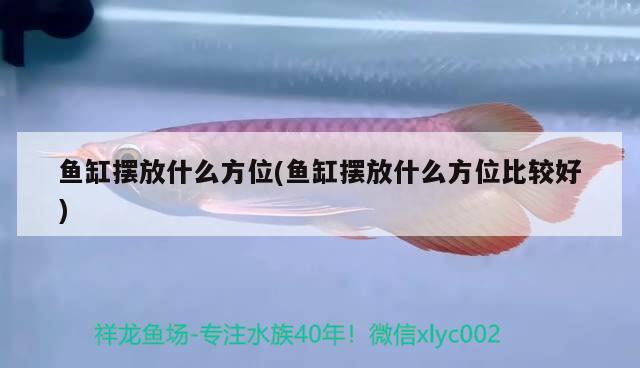 鱼缸摆放什么方位(鱼缸摆放什么方位比较好) 刀鱼鱼