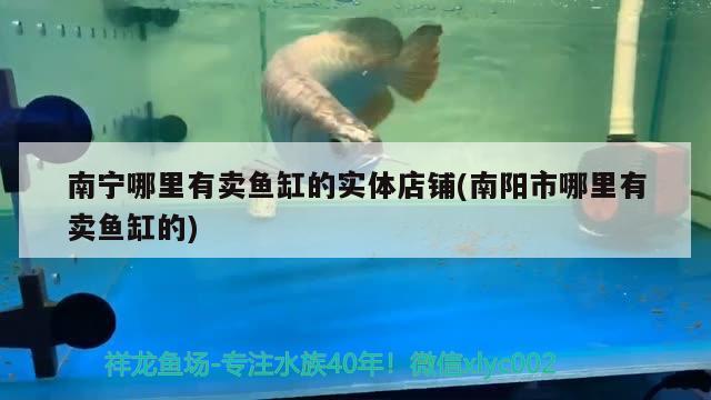 南宁哪里有卖鱼缸的实体店铺(南阳市哪里有卖鱼缸的) 水族杂谈