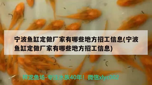 宁波鱼缸定做厂家有哪些地方招工信息(宁波鱼缸定做厂家有哪些地方招工信息) 元宝鲫