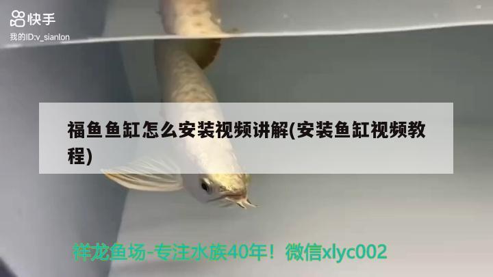 福鱼鱼缸怎么安装视频讲解(安装鱼缸视频教程) 祥龙水族医院