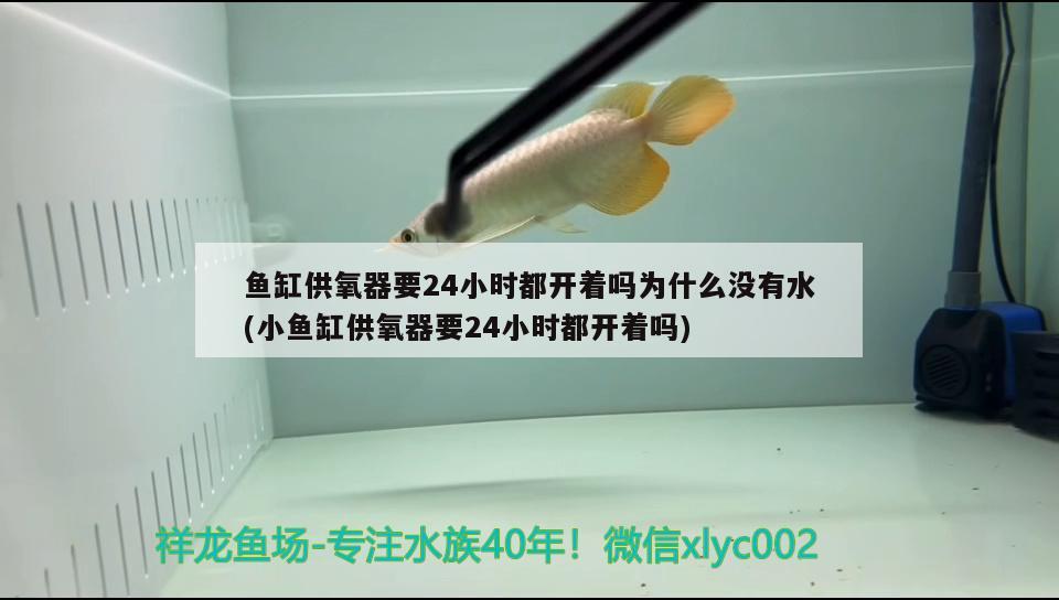 鱼缸供氧器要24小时都开着吗为什么没有水(小鱼缸供氧器要24小时都开着吗)