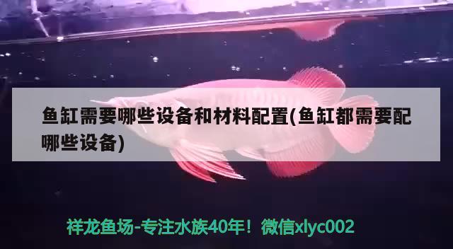 鱼缸需要哪些设备和材料配置(鱼缸都需要配哪些设备) 福虎/异型虎鱼/纯色虎鱼