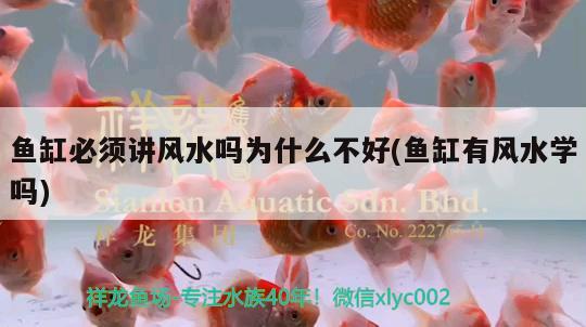 鱼缸必须讲风水吗为什么不好(鱼缸有风水学吗) 鱼缸风水