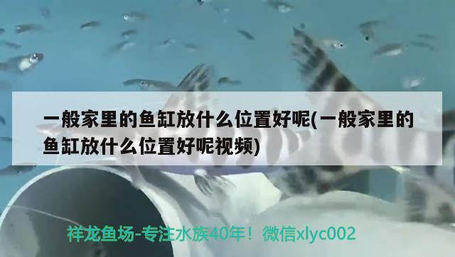 一般家里的鱼缸放什么位置好呢(一般家里的鱼缸放什么位置好呢视频)