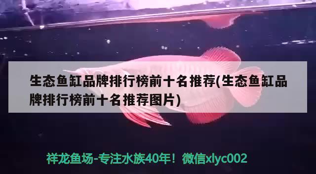 生态鱼缸品牌排行榜前十名推荐(生态鱼缸品牌排行榜前十名推荐图片)