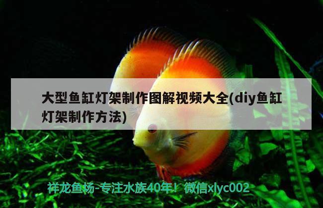 大型鱼缸灯架制作图解视频大全(diy鱼缸灯架制作方法) 鱼缸/水族箱