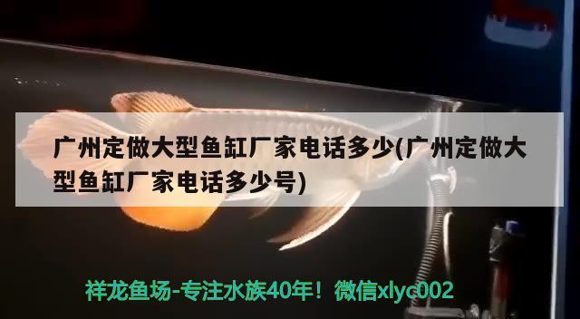 广州定做大型鱼缸厂家电话多少(广州定做大型鱼缸厂家电话多少号) 可丽爱鱼缸