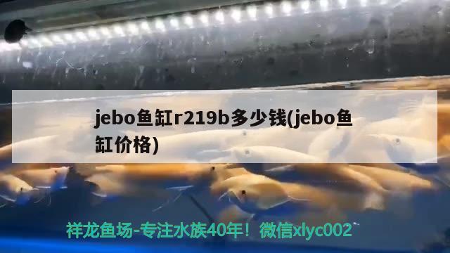 jebo鱼缸r219b多少钱(jebo鱼缸价格) 其他益生菌