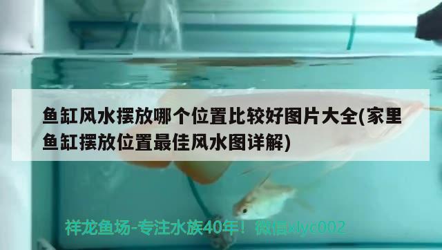 鱼缸风水摆放哪个位置比较好图片大全(家里鱼缸摆放位置最佳风水图详解) 鱼缸风水